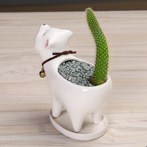 Cat Tail Cactus Ceramic Flowerpot dylinoshop