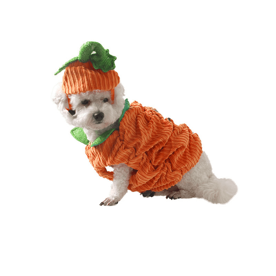 Dog Halloween Costume Dog Collar Pumpkin Design Creative Funny Pet Clothes Decorations MRSLM