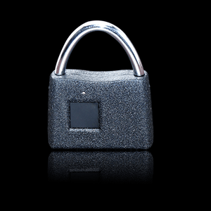 Door Security Lock USB Rechargeable Fingerprint Smart Padlock Anti-Theft Lock MRSLM