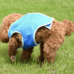 Summer Cooling Jacket Coat Vest T-Shirt Clothes Clothing for Dog Cat Puppy Pet Vest MRSLM