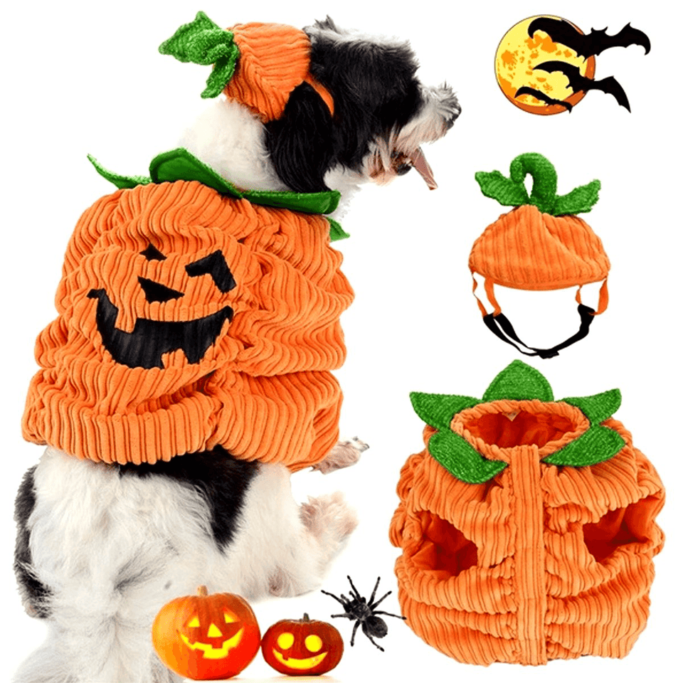 Dog Halloween Costume Dog Collar Pumpkin Design Creative Funny Pet Clothes Decorations MRSLM