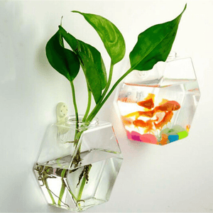 Creative Wall Hanging Transparent Glass Vase Fish Tank Hydroponic Living Room Home Decor MRSLM
