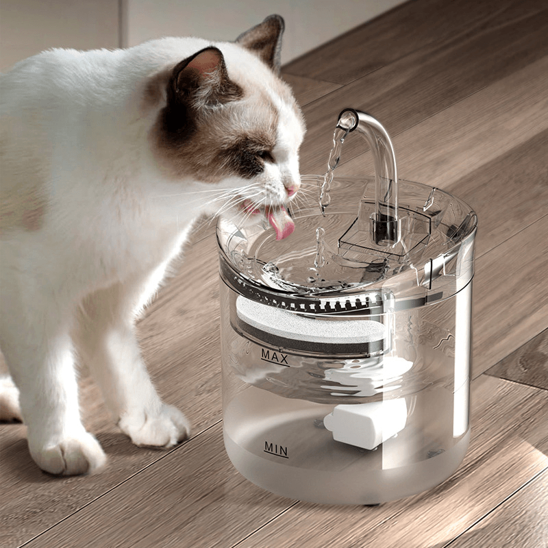 1.8L Pet Water Dispenser Filter Automatic Circulation Water dylinoshop
