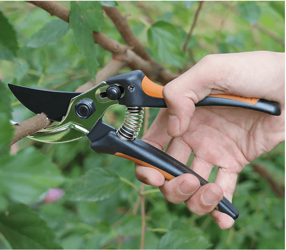 Garden Pruning Scissors Fruit Tree Pruning Shears Labor-Saving Flower Branch Manual Pruning Shears MRSLM