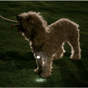 Jodan&Judy Bone Label Light Pet Tag Light Bulb Outdoor Dog Floodlight Missing Warning Light Pet Supplies From MRSLM