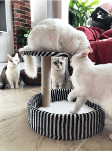 Detachable Cat Climbing Frame Sisal Material Cat Scratching Post Board Small Cat Jumping Platform Pet Bed MRSLM
