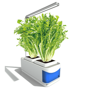 Intelligent Desk LED Lamp Hydroponic Herb Indoor Garden Kit Multi-Function Flower Vegetable Plant Growth Light dylinoshop