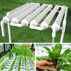 110-220V 54 Holes Hydroponic Piping Site Grow Kit Deep Water Culture Planting Box Gardening System Nursery Pot Hydroponic Rack dylinoshop