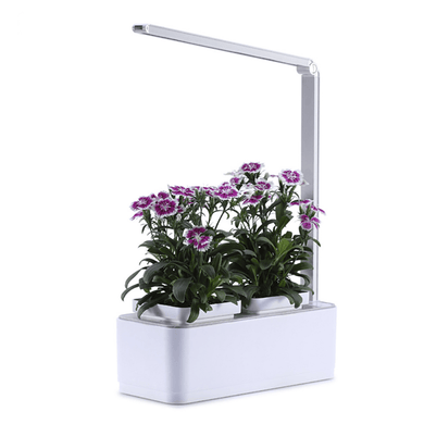 8W Intelligent Automatic Watering Pot LED Soilless Hydroponic Flower Pot Indoor Plant Growth Lamp Home Decoration dylinoshop