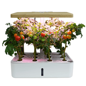 110-240V Indoor Intelligent Hydroponic Planting Box Soilless Cultivation Equipment LED Fill Light Vegetable Planting Machine Nursery Flower Pot dylinoshop