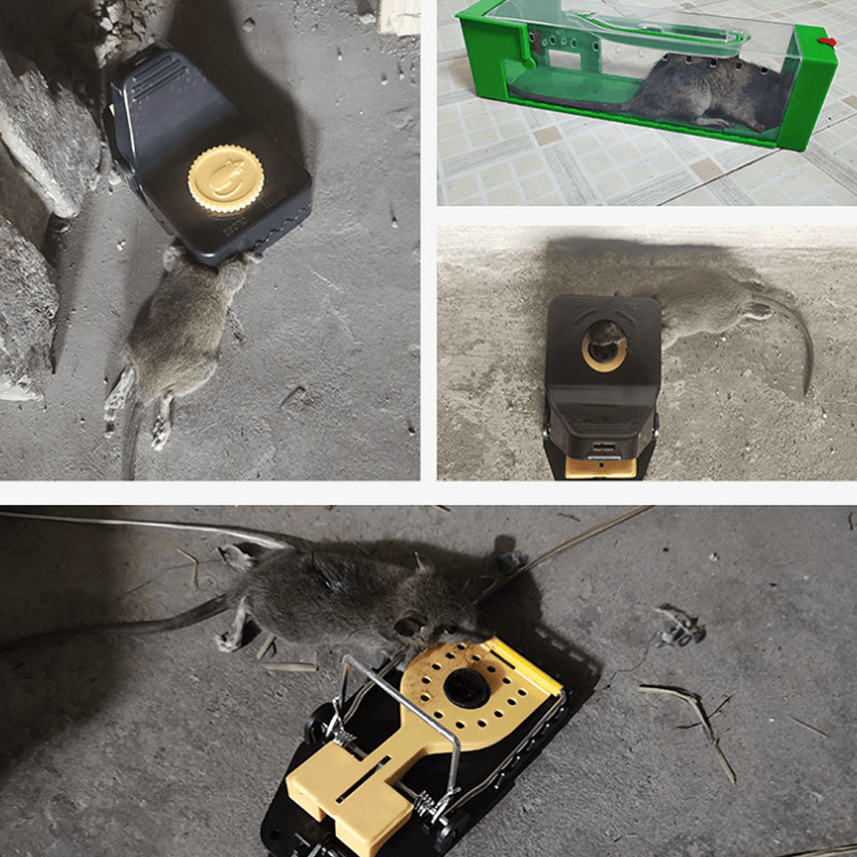 6Pcs Reusable Mouse Traps Rat Trap Rodent Snap Trap Mice Trap Catcher Killer dylinoshop