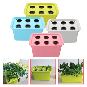 220V 6 Holes Hydroponic System Kit Soilless Cultivation Indoor Water for Home Planting Grow Box dylinoshop