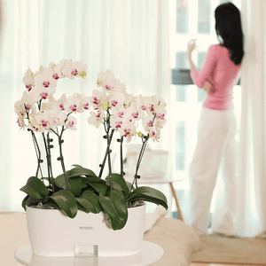 Onemi AI Intelligent Plant Growth Flowerpot Smart Vegetable Planting Machine Mijia APP Remote Control Self-Watering System Temperature Moisture Analyzer dylinoshop