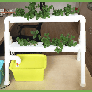 8 Cells Balcony Using Small Hydroponic System Home Garden Small Hydroponic System Introduction for Garden Tool dylinoshop