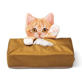 Cute Cat Tissue Box dylinoshop