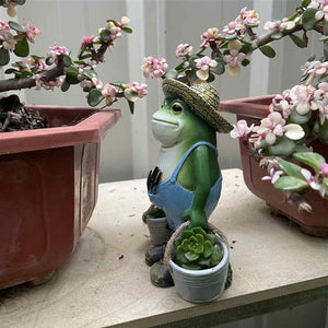 Gardener Frog Feajoy