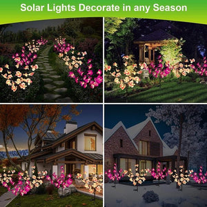 20 Flower Solar Orchid Lights dylinoshop