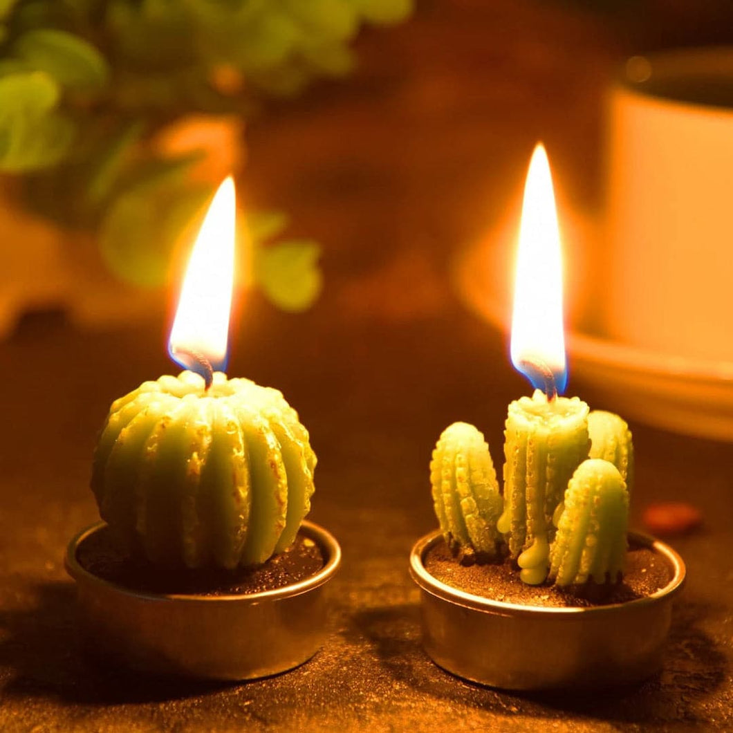 12 Pieces Beautiful Cactus Candles dylinoshop