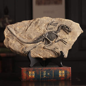 Resin Dinosaur Fossil Statue feajoy