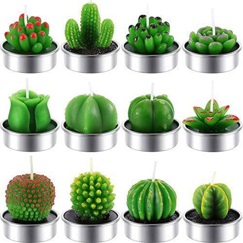 12 Pieces Beautiful Cactus Candles dylinoshop