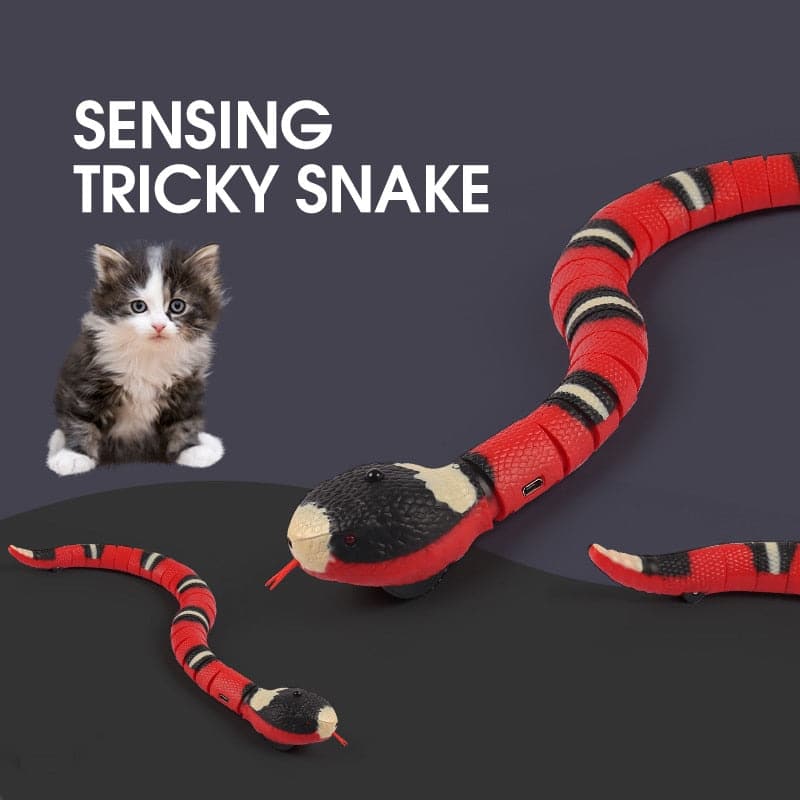 Smart Sensing Snake dylinoshop