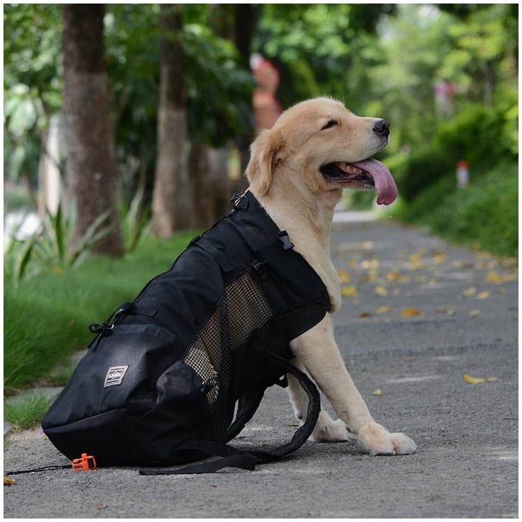 Pet Dog Carrier Travel Backpack Shoulder Dog Outdoor Bag Ventilation Breathable Bicycle Motorcycle Outdoor Hiking Sport Bag dylinoshop