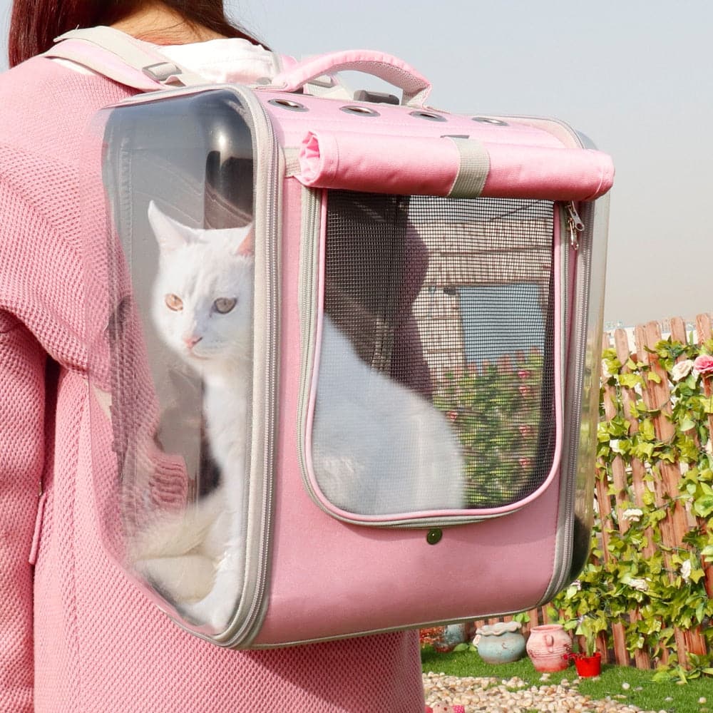 Pet Cat Carrier Backpack Breathable Cat Travel Outdoor Shoulder Bag For Small Dogs Cats Portable Packaging Carrying Pet Supplies dylinoshop