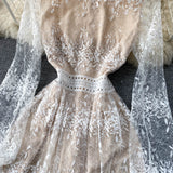 Women Embroidery Lace Mesh Elegant Slim A Line Long Dress dylinoshop