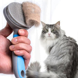 Cat Hair Remover Brush DYLINOSHOP