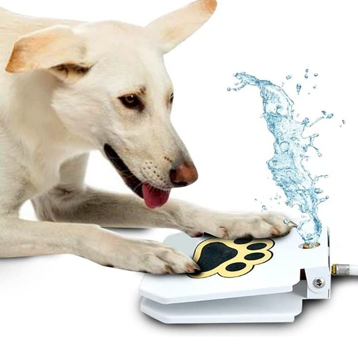 Dog Step On Water Fountain - DYLINOSHOP