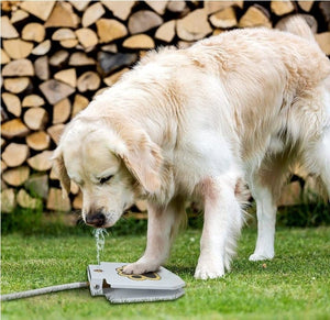 Dog Step On Water Fountain - DYLINOSHOP