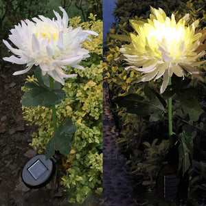 2 Pack Solar Chrysanthemum Garden Light dylinoshop