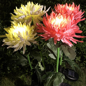 2 Pack Solar Chrysanthemum Garden Light dylinoshop